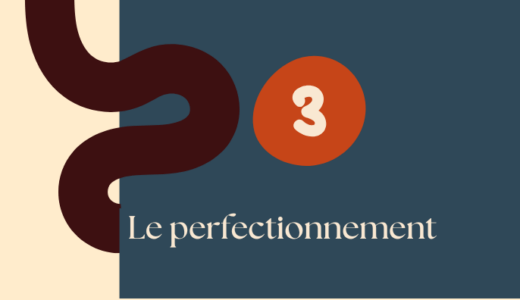 Pratiques Systémiques et thérapies familiales : Perfectionnement